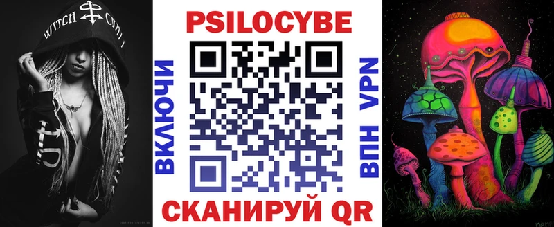 Псилоцибиновые грибы Psilocybe Таруса